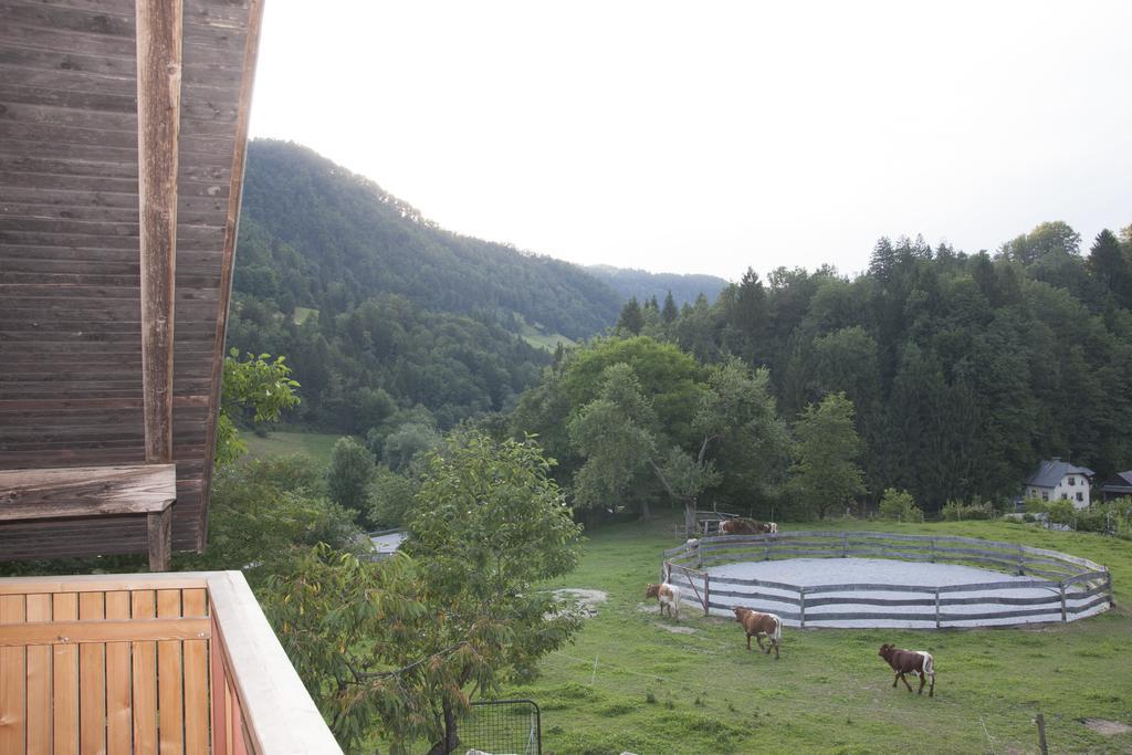 Apartments Pri Bostjanovcu Gorenja Vas  Exterior foto